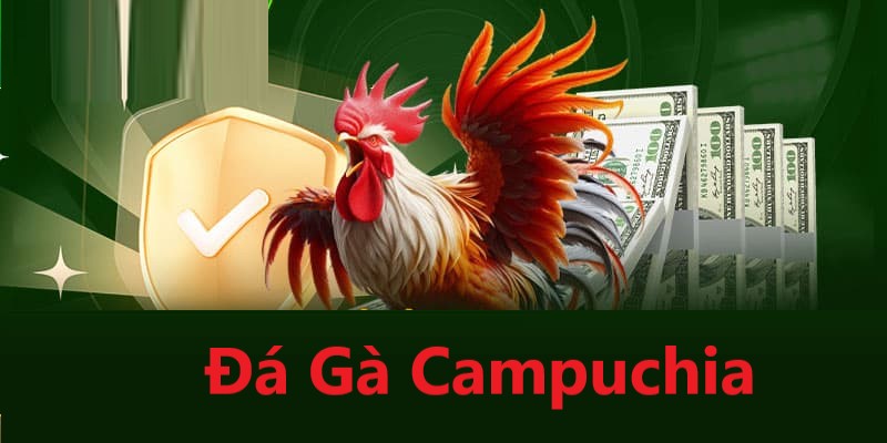 Tìm hiểu sơ lược về hình thức đá gà Campuchia