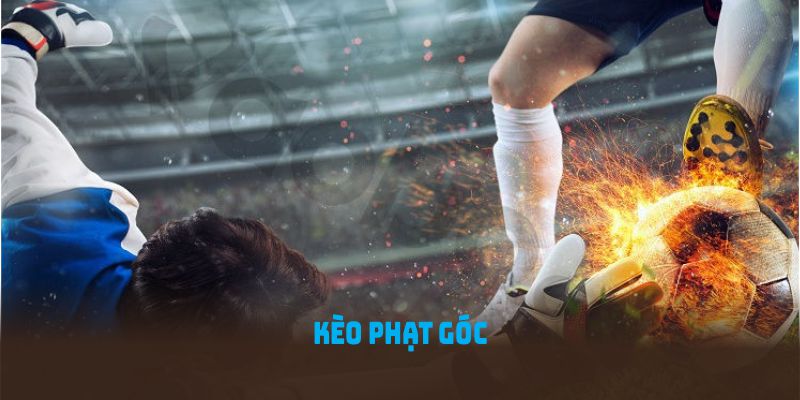 Kinh nghiệm dự đoán kết quả từ cao thủ